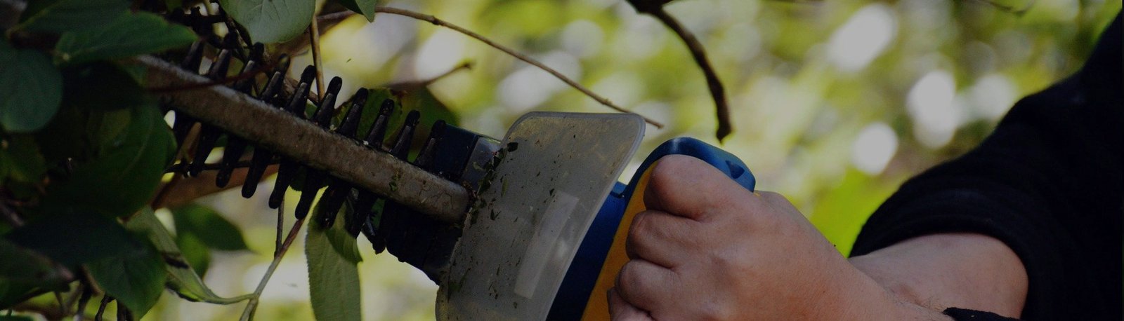 Tree Leaf Care - FULLY INSURED TREE SERVICE & PROPERTY MAINTENANCE SPECIALISTS... WE OFFER A COMPREHENSIVE SERVICE