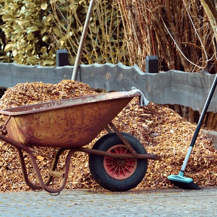 Tree Leaf Care  |  For long-lasting beauty and a neat, professionally-controlled frontage for your commercial grounds, Tree Leaf Care provides a comprehensive grounds maintenance service. | m: (+44) 087 2701903